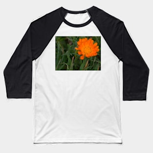 ebs orange poppy Baseball T-Shirt